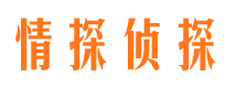 青山区市侦探调查公司